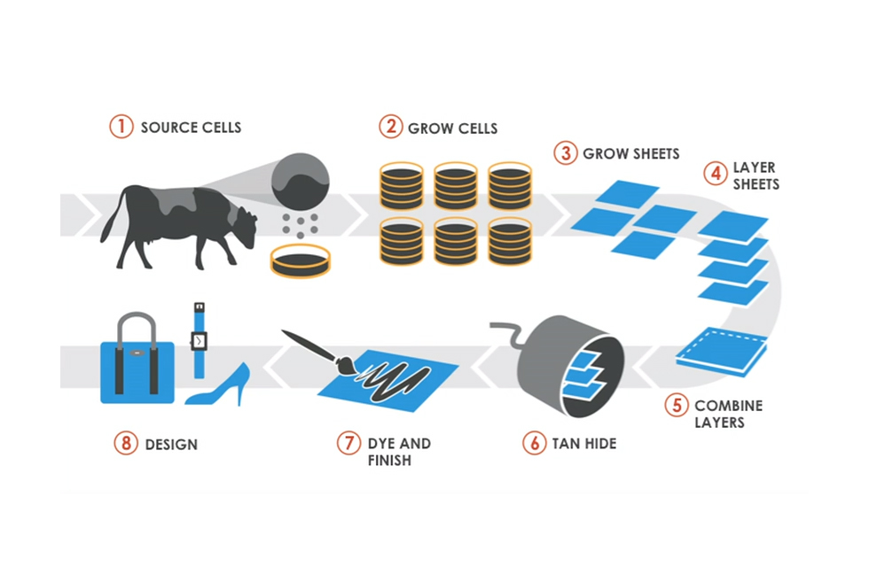 Future Trends and Recommendations - visual representation