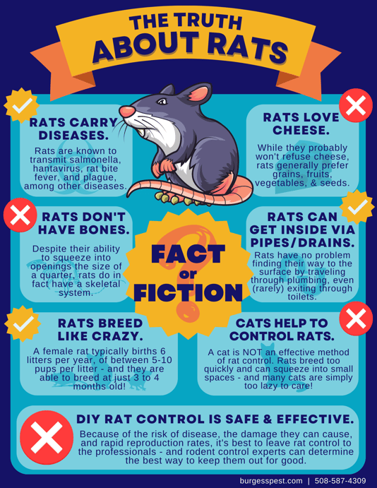 Why is Laughing RAT a Threat? - contextual illustration
