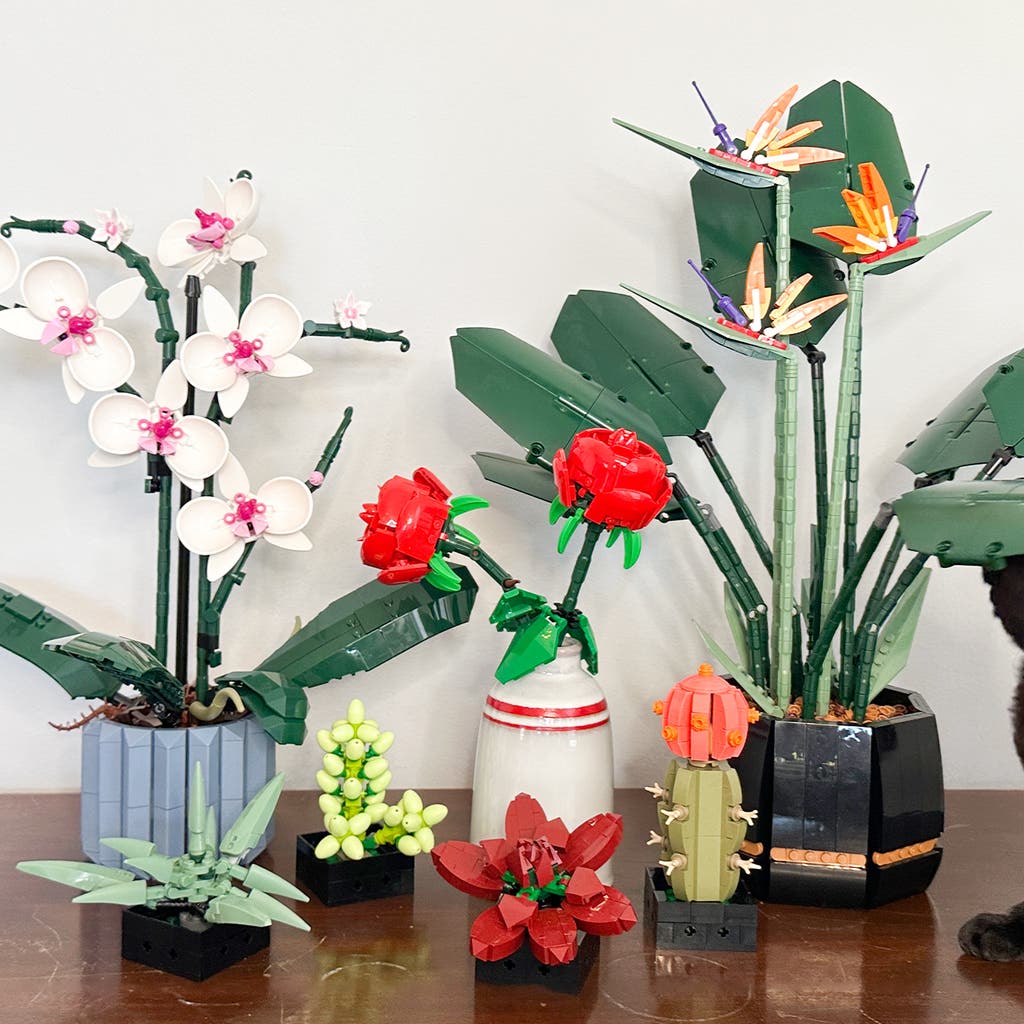 LEGO Botanical Tiny Plants Series: The Novelty Play - visual representation