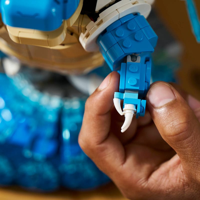 Display and Long-Term Care - visual representation