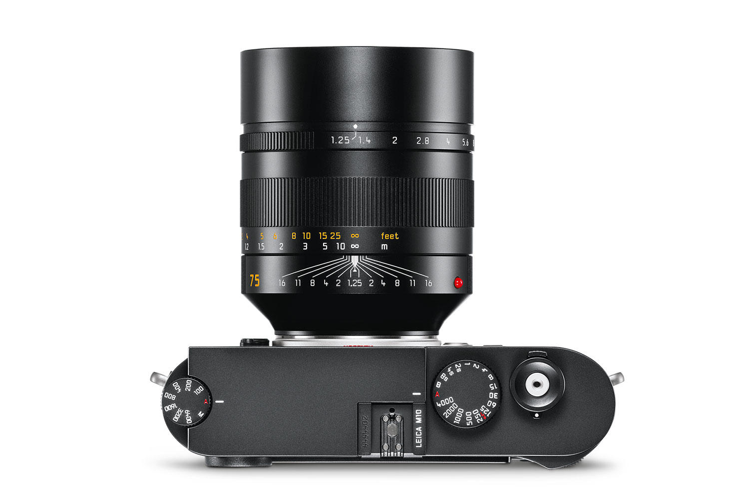 The Verdict: Who Should Actually Buy This - visual representation