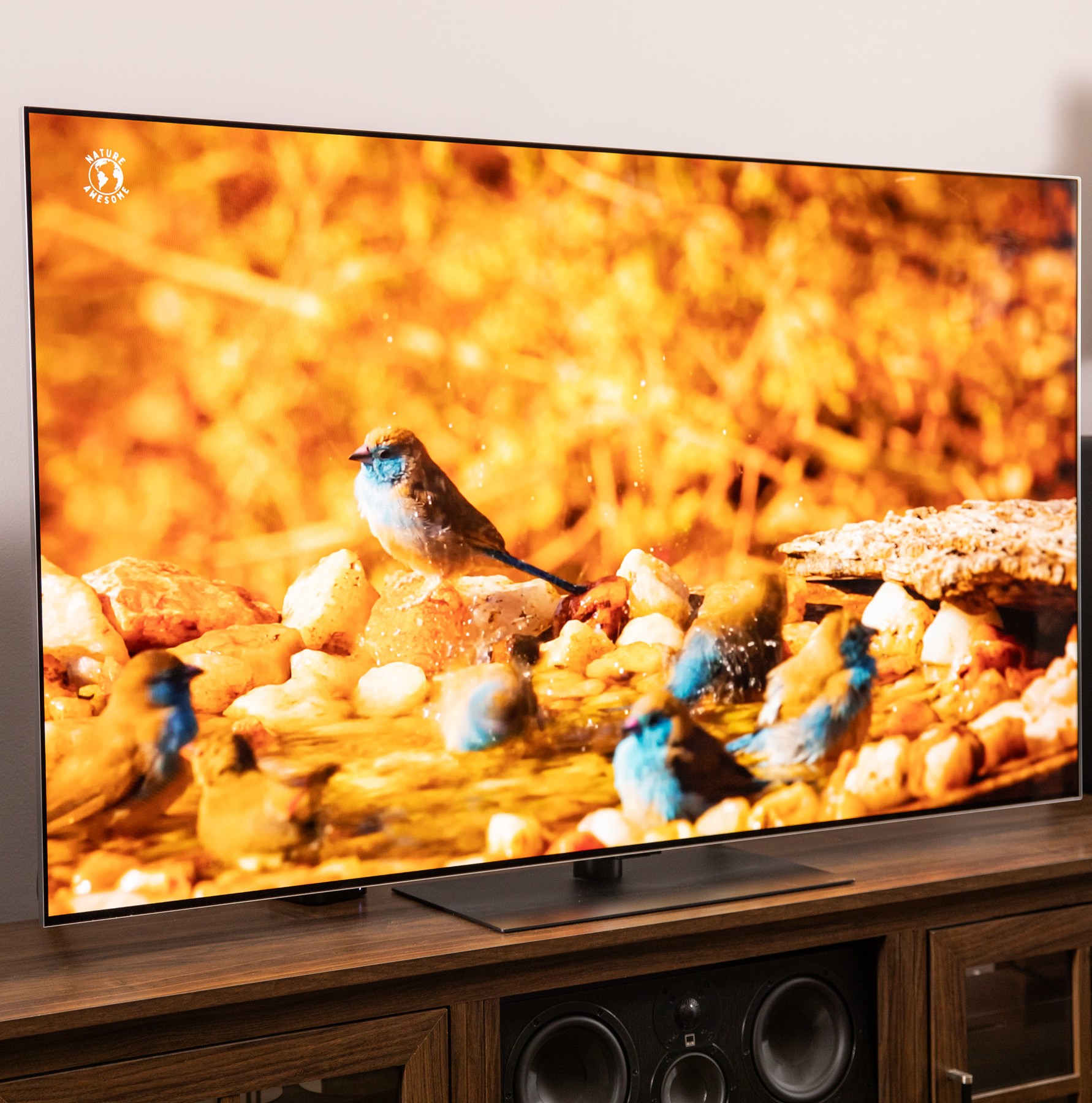 HDR and Dolby Vision: Where the G5 Truly Excels - visual representation