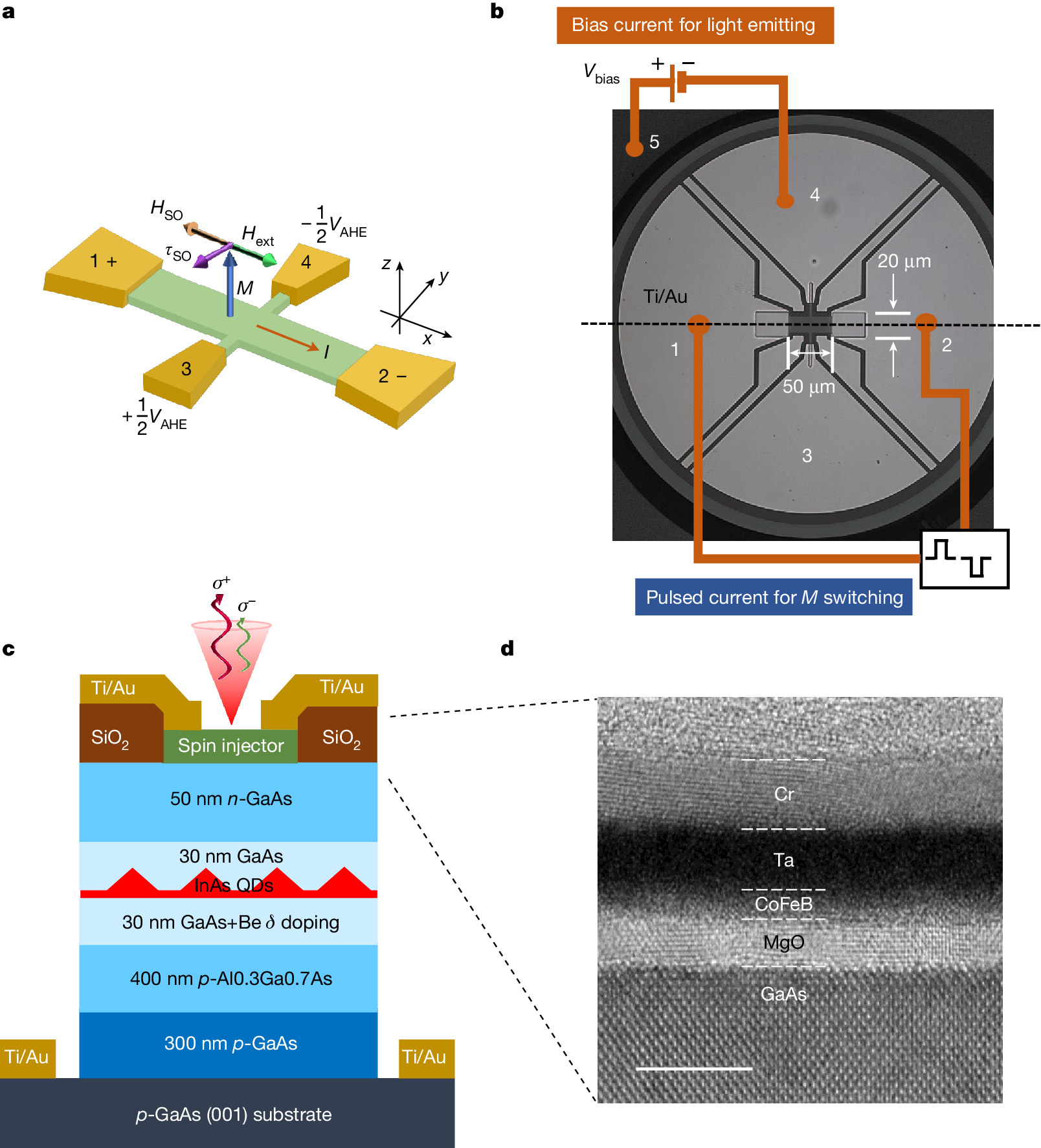 Data Analysis: How Researchers Separated Signal from Noise - visual representation