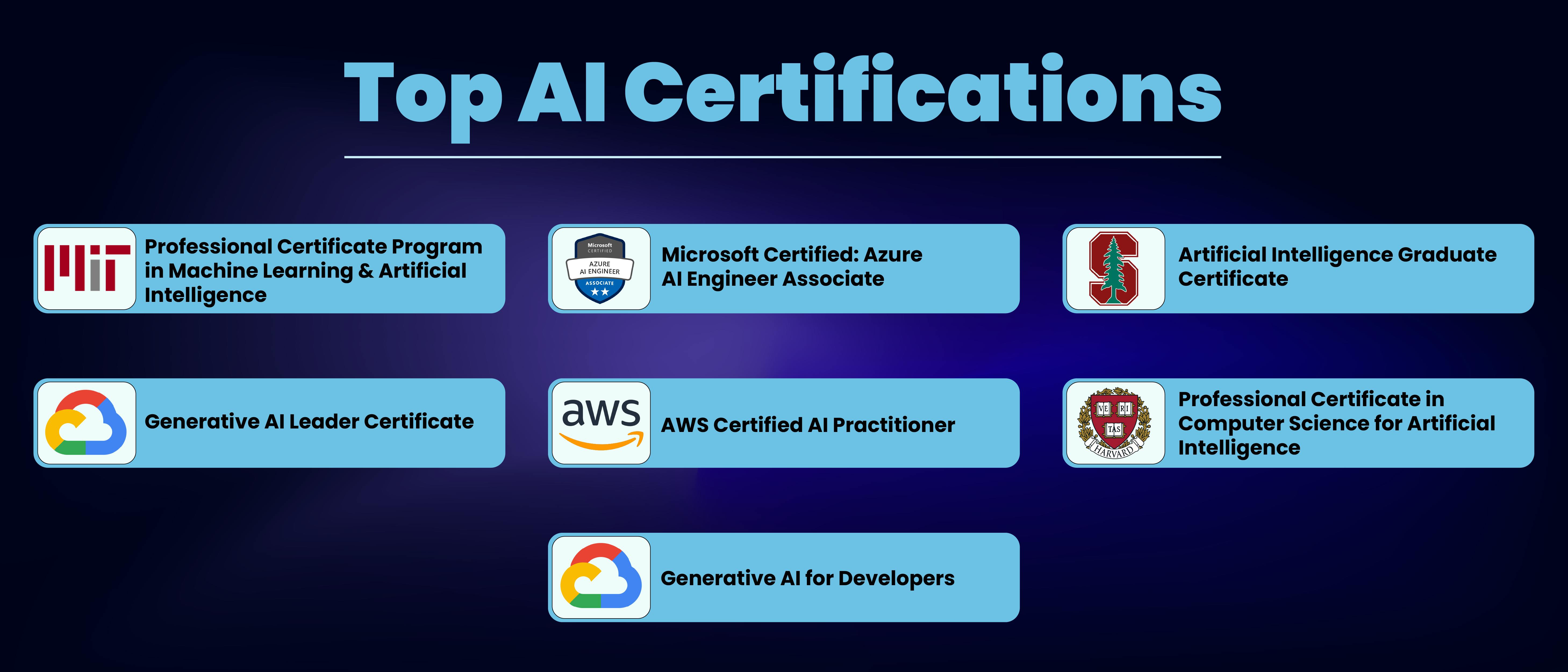 Potential Limitations and Concerns - visual representation