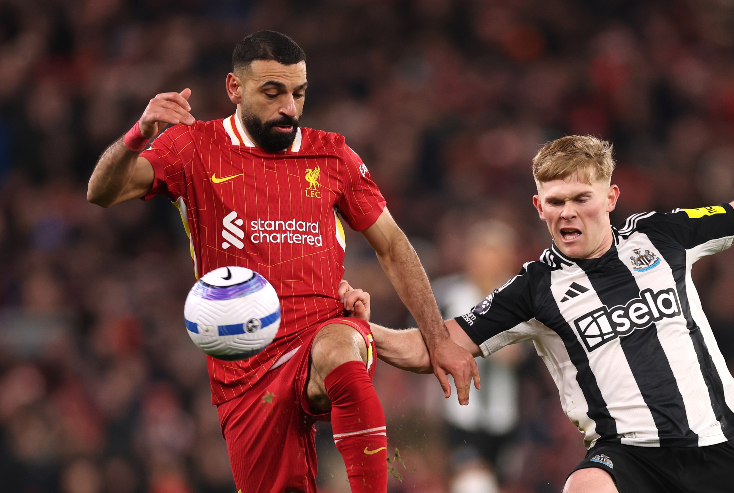 Subscription Pricing Models and Value Comparison - visual representation