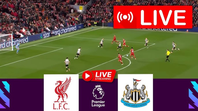 Premium Features and Enhanced Viewing Experiences - visual representation