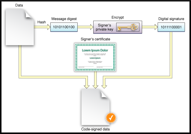 What Actually Went Wrong: The Certificate Chain - contextual illustration