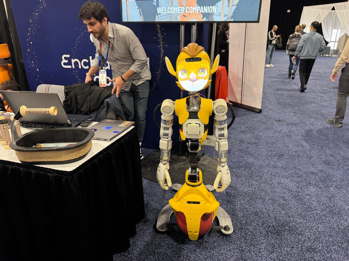 Competitive Landscape: Who Else Is Building Companion Robots? - visual representation