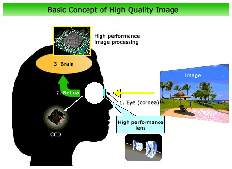 Understanding the Basics - contextual illustration