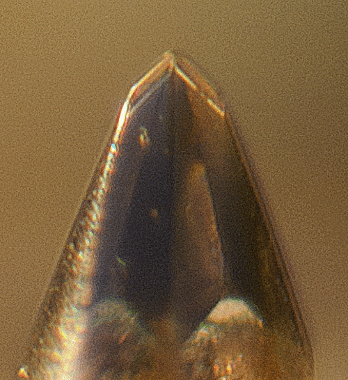 Exotic Woods in Audio: Fact Versus Fiction - visual representation