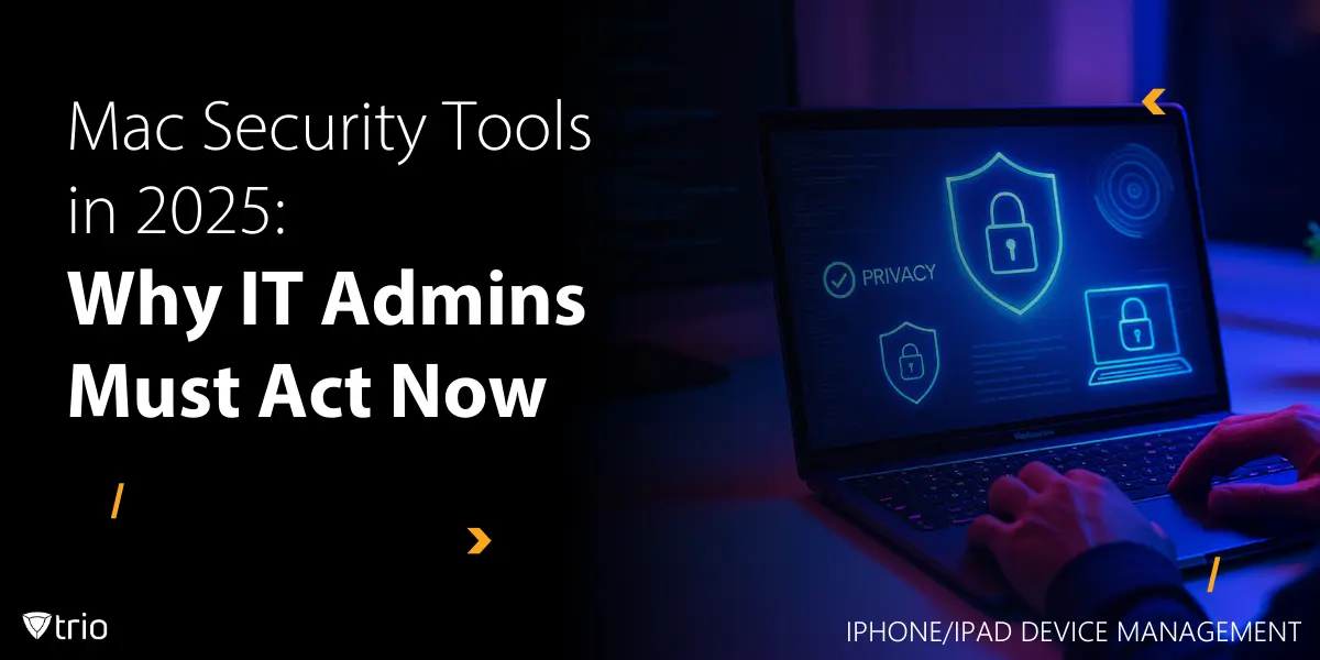 Choosing the Right Protection: What to Look For - visual representation