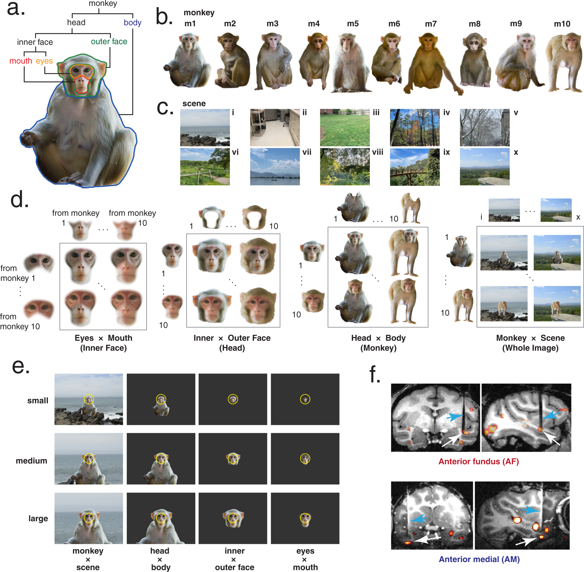 Broader Implications for Brain-Computer Interfaces - visual representation