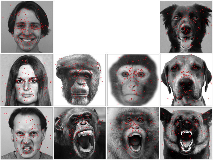 Conclusion - visual representation