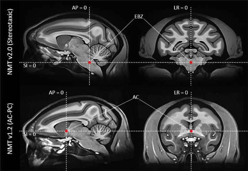 The Experimental Design: How Researchers Watched Macaque Brains Make Faces - contextual illustration