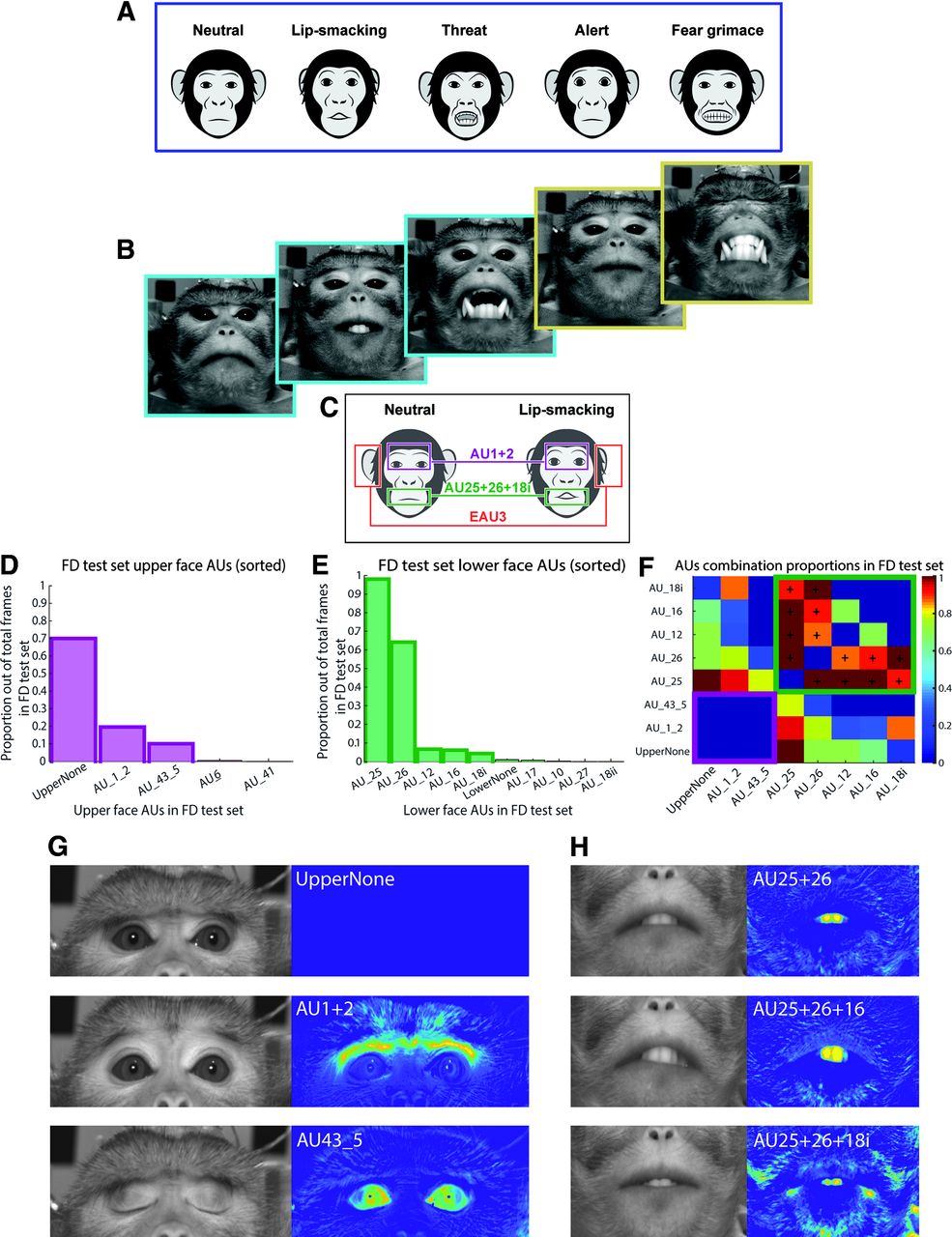 Decoding Facial Expressions: What This Means for Neural Prosthetics - visual representation