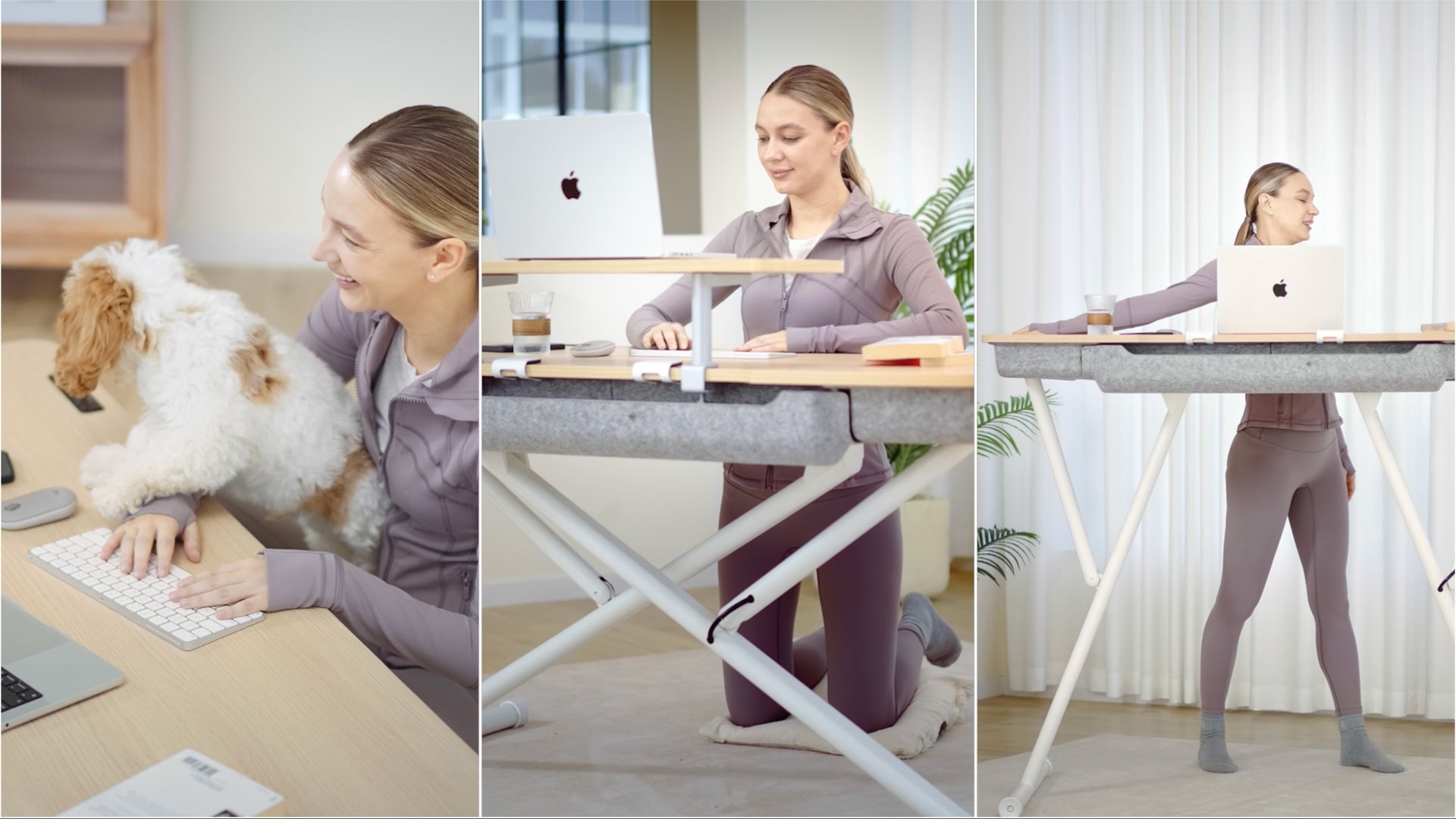 Assembly, Setup, and First Impressions - visual representation