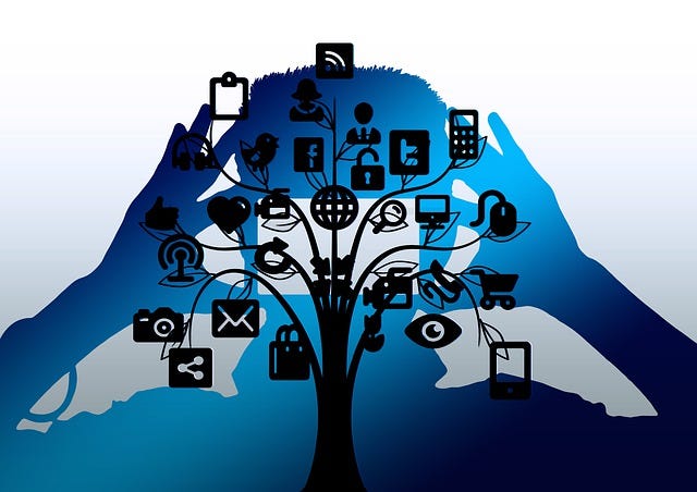 Privacy Best Practices on Instagram - visual representation