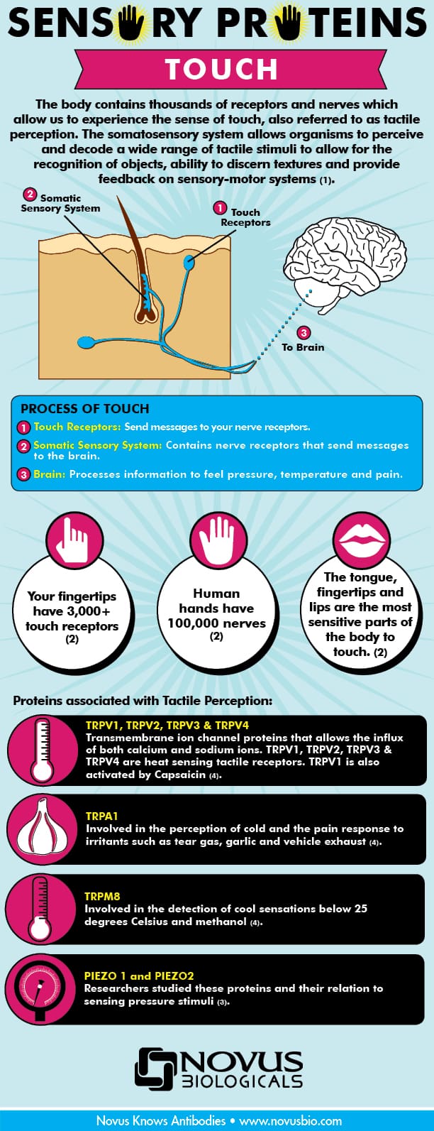 The Evolution of Mobile Gaming - visual representation