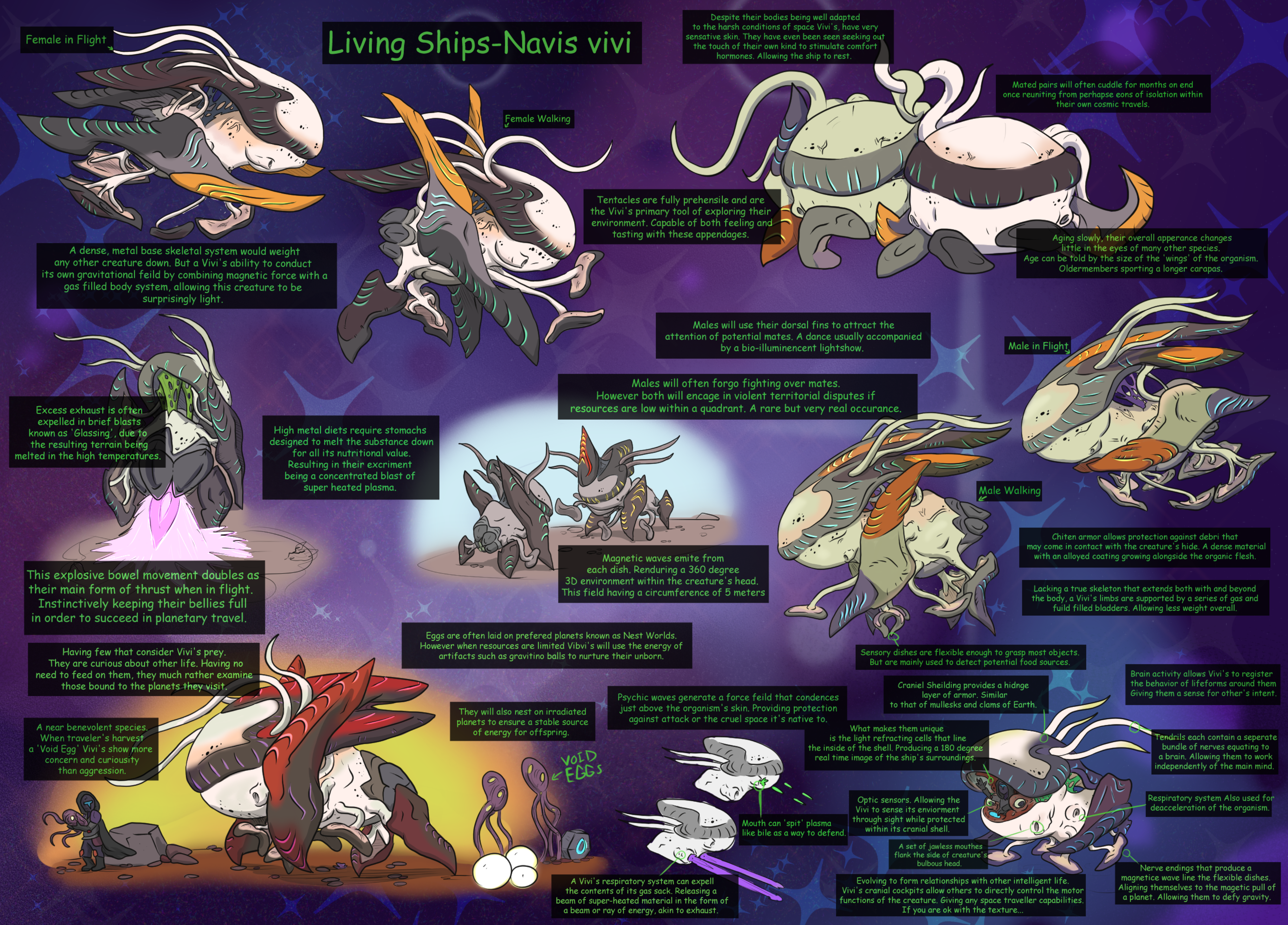 Evolving Your Creatures - contextual illustration