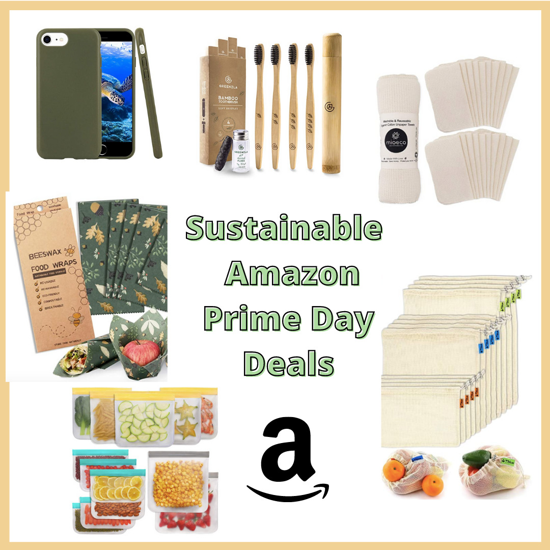 Future Trends in Prime Day Shopping - contextual illustration