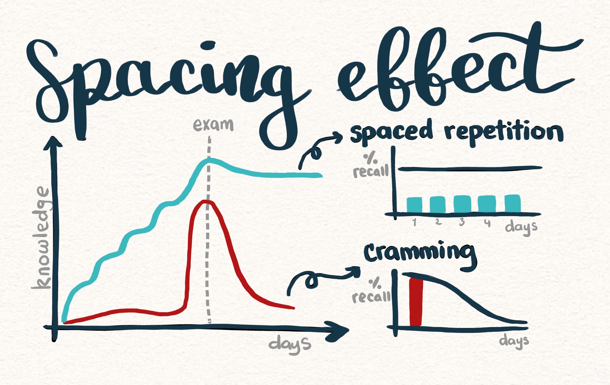 Creating a Productive Mindset - visual representation