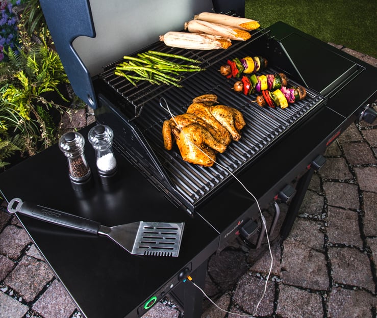 3. Weber Genesis II EX-315 - visual representation