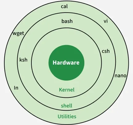 Advanced Customization Techniques - contextual illustration