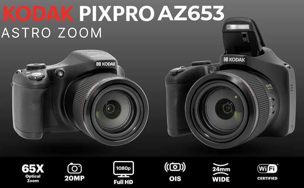 The Best Bridge Cameras at a Glance - visual representation