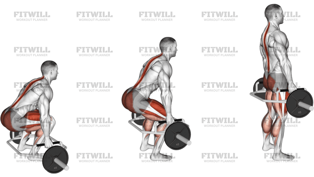 Benefits of the Trap Bar Deadlift - visual representation