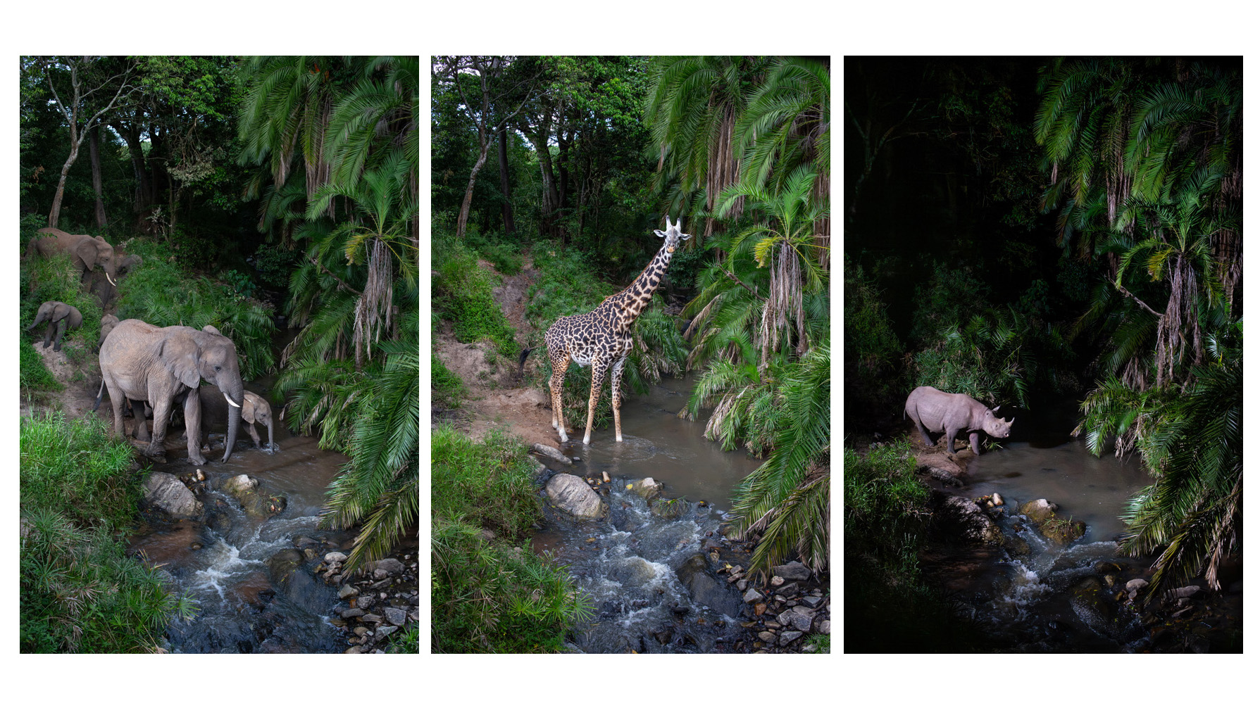 Introduction - contextual illustration