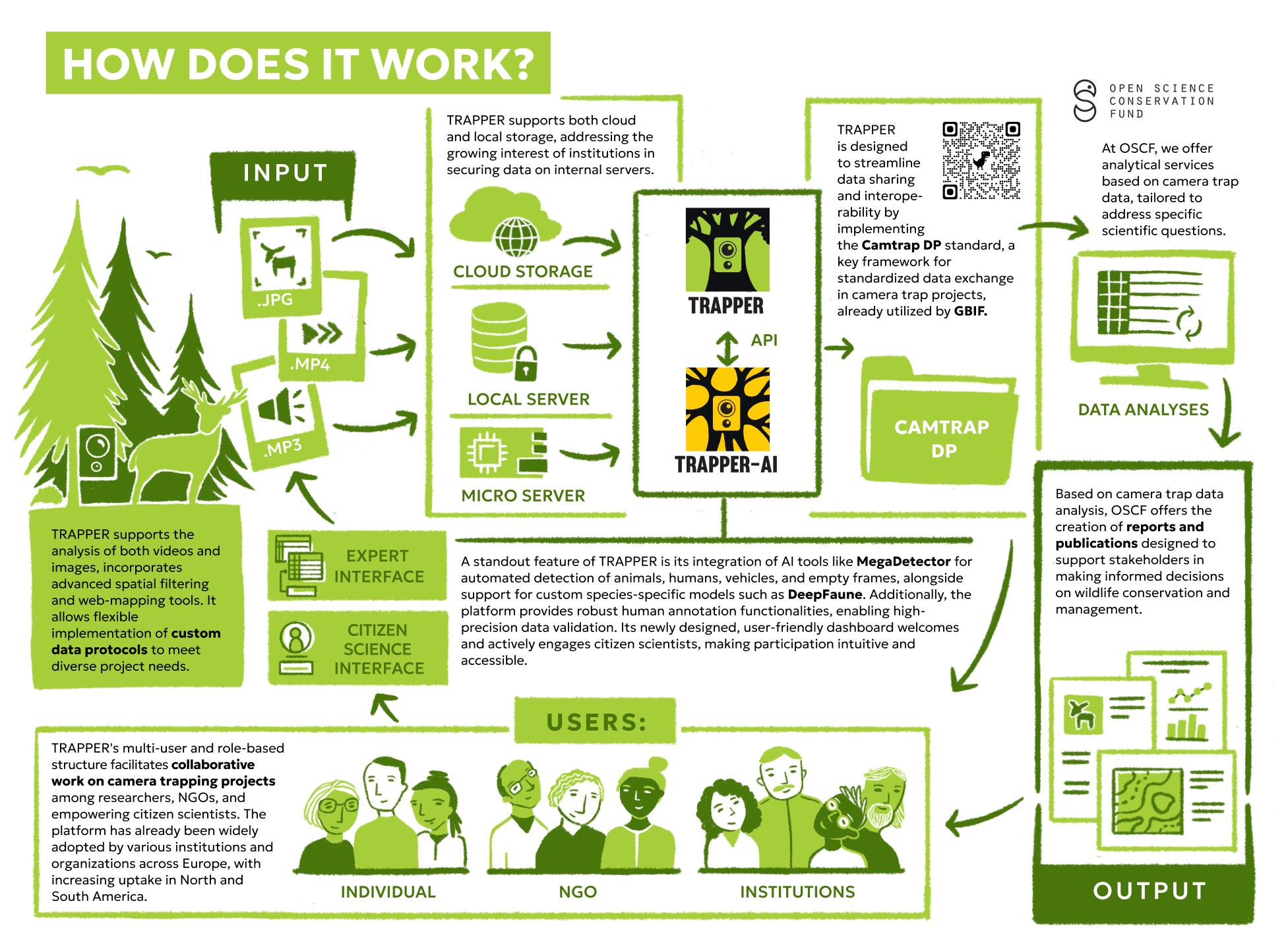 Common Pitfalls and How to Avoid Them - contextual illustration