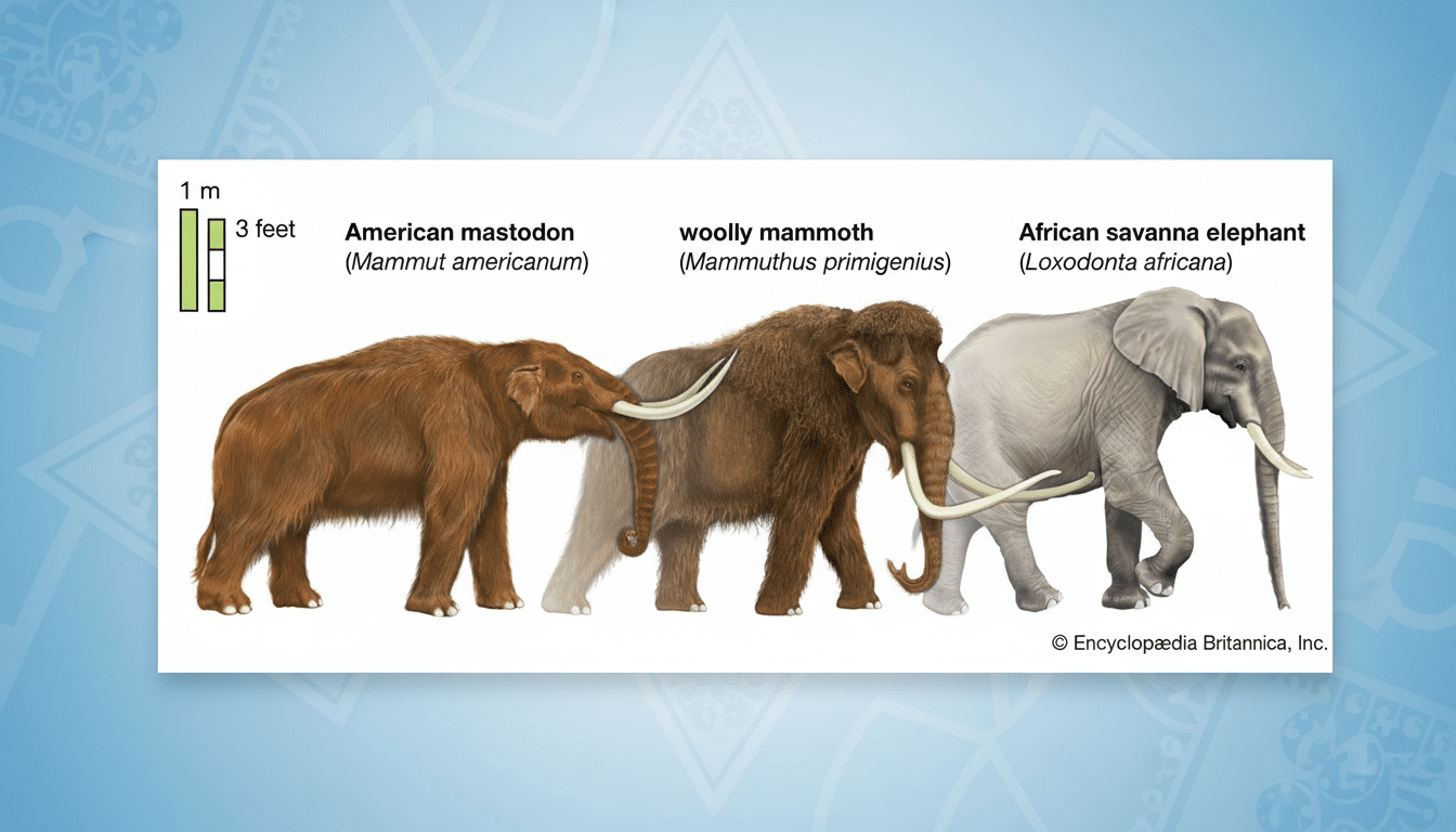 The Role of Server Operators in Network Health - visual representation