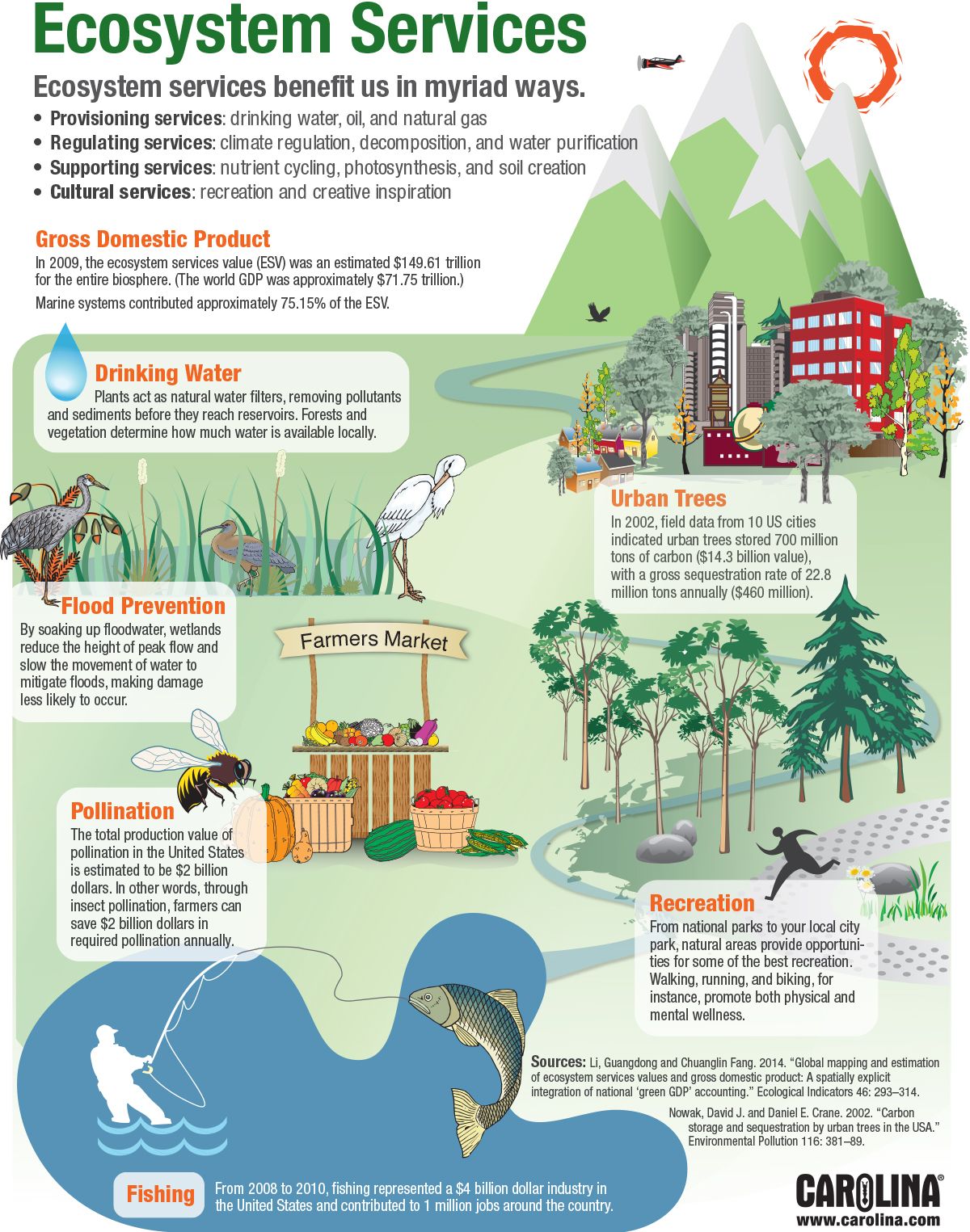 The Benefits of Connected Ecosystems - contextual illustration