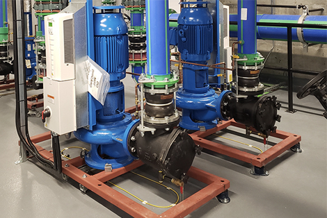 The Growth Trajectory: From Startup to Market Leader - visual representation