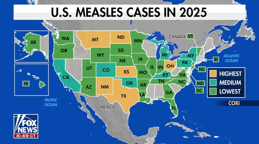 Immunity, Vaccination Schedules, and Protection - visual representation
