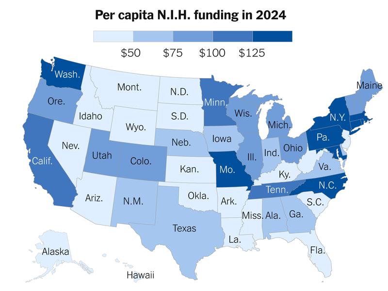Institutional Lessons for the Future - visual representation