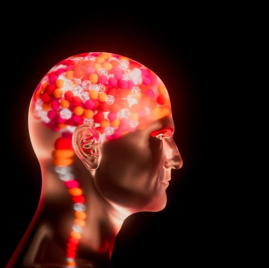 The Bottom Line: Investment, Vision, and Reality - visual representation