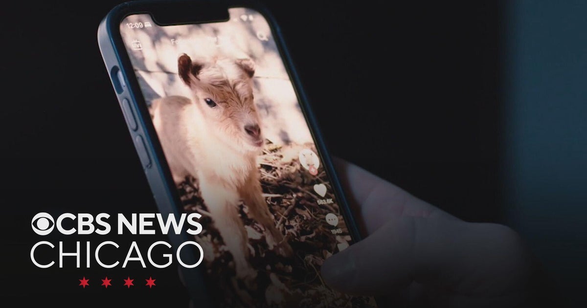 FAQ - visual representation