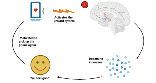 The Scientific Reality: What Researchers Actually Know About Social Media Addiction - visual representation