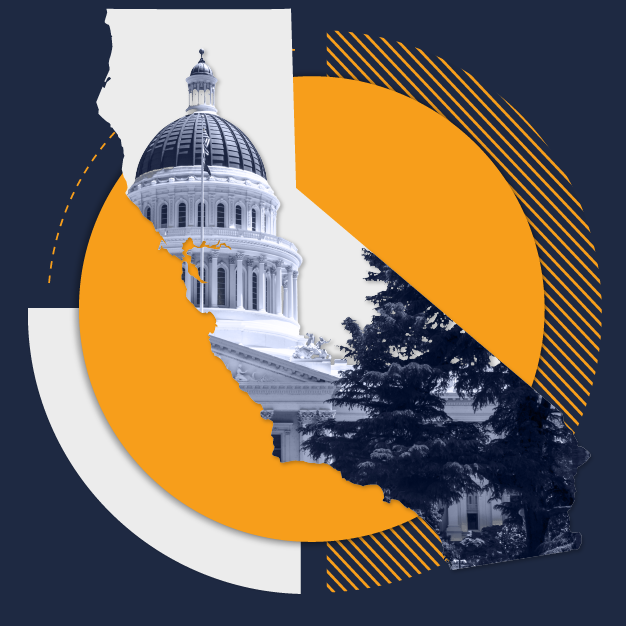 The Timeline and Next Steps - visual representation