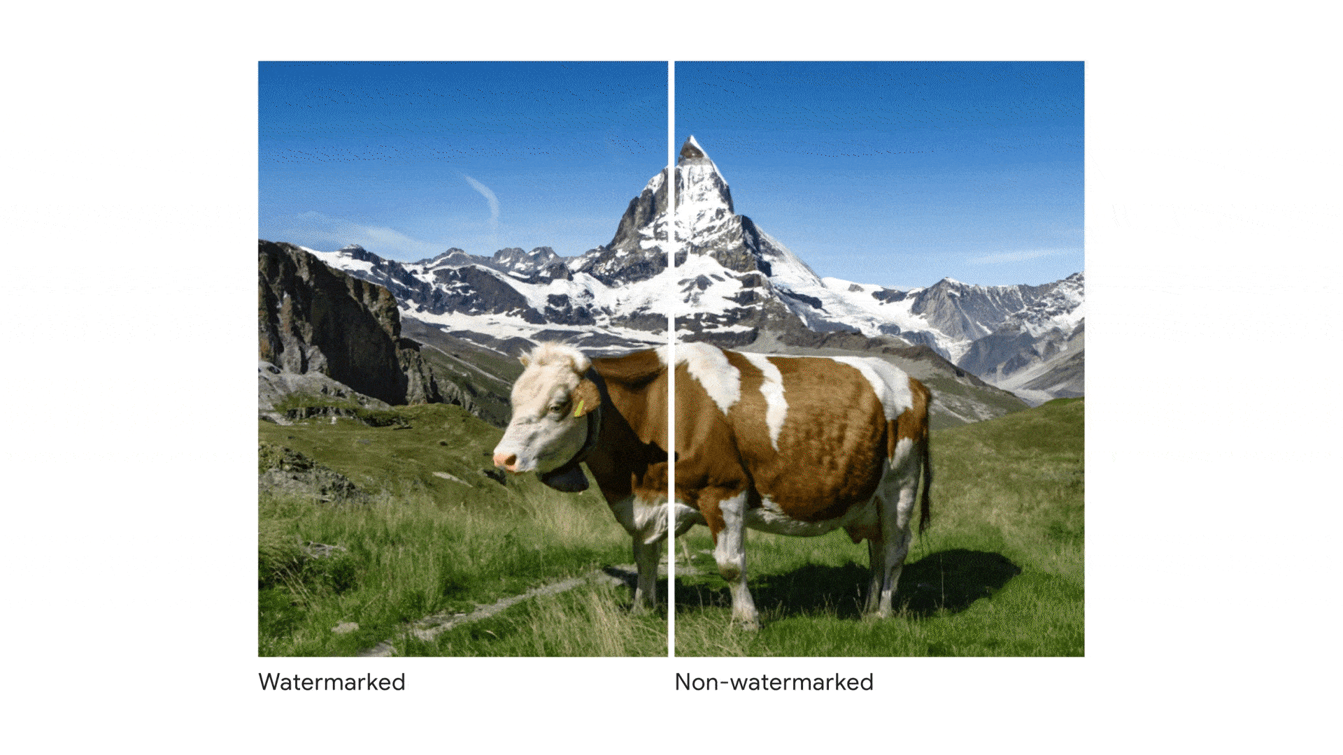The Role of Digital Watermarks - contextual illustration