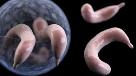 Case Study: Ohio's Outbreak - contextual illustration