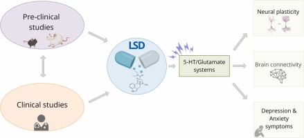 FAQ - visual representation