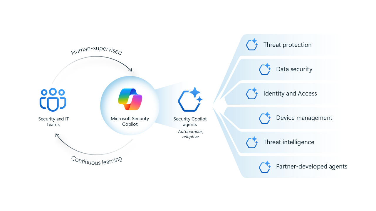 Related Vulnerabilities and Attack Patterns - visual representation
