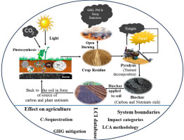 Biochar: Why Agricultural Waste is Becoming a Carbon Removal Asset - contextual illustration