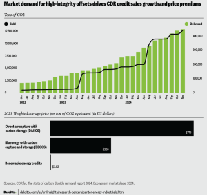 India as a Strategic Hub for Carbon Removal Projects - visual representation