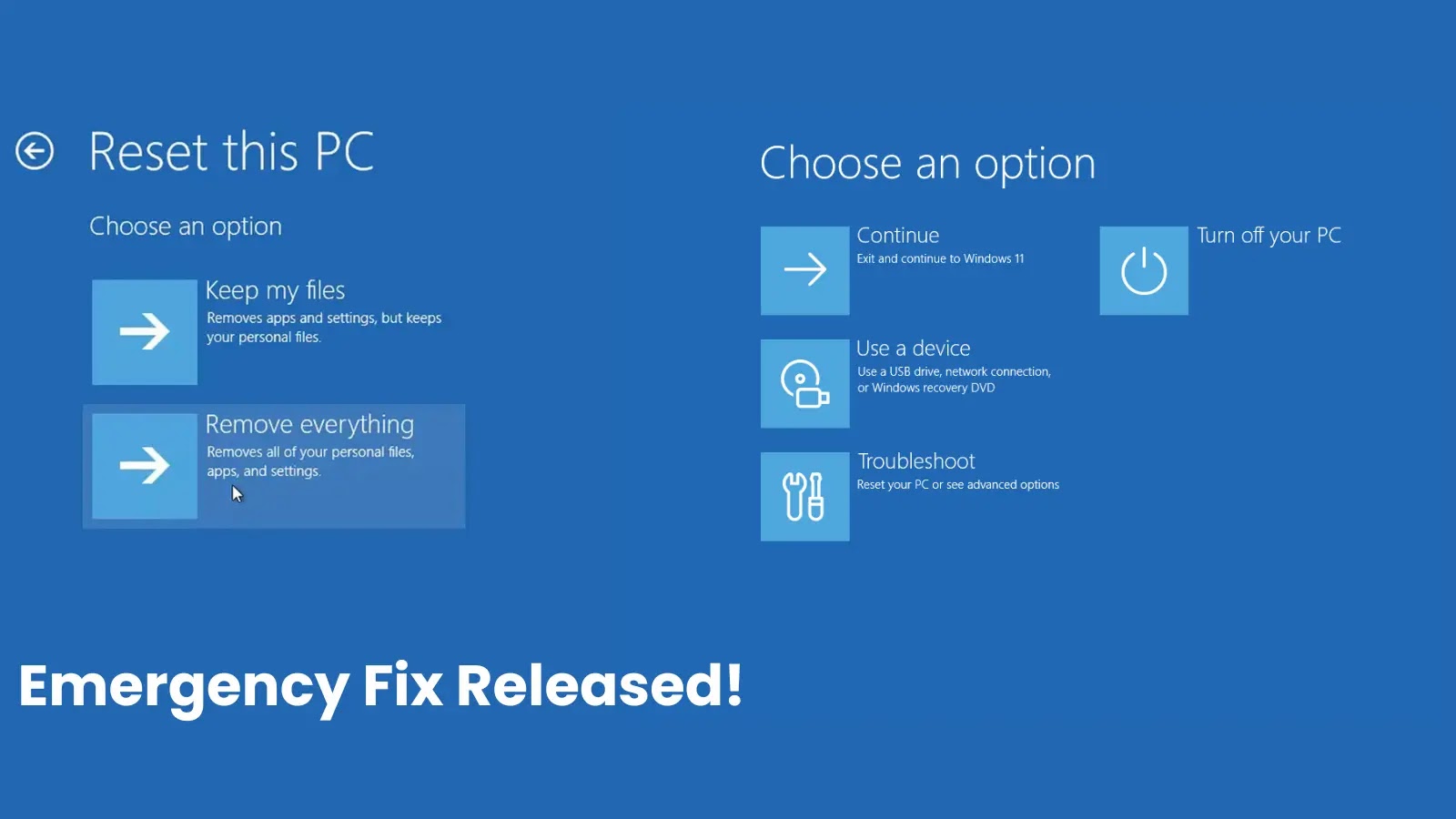 Conclusion: Learning From The Crisis - visual representation