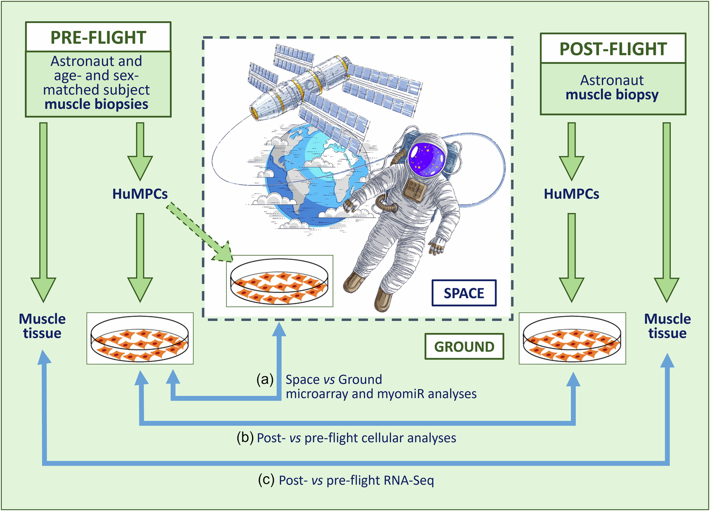 The Impact on the Mission - visual representation