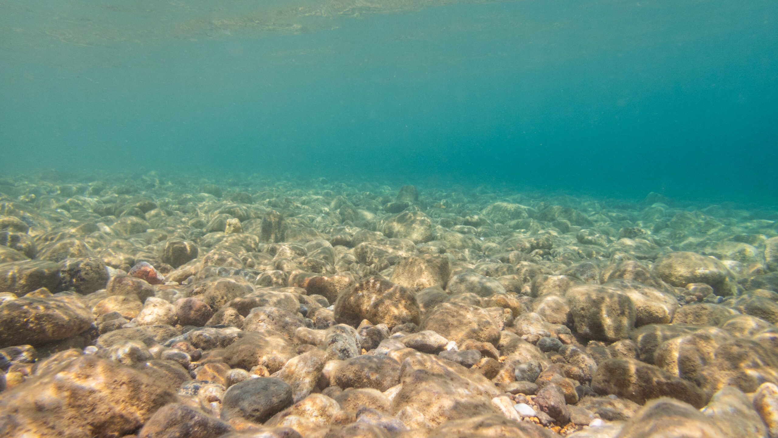 Mining the deep ocean - Ars Technica