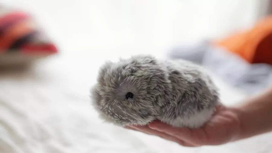 Real-World Impact: What People Report - visual representation